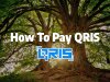 QRIS Pay