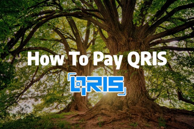 QRIS Pay