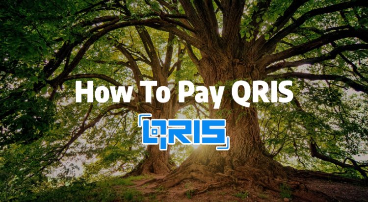 QRIS Pay