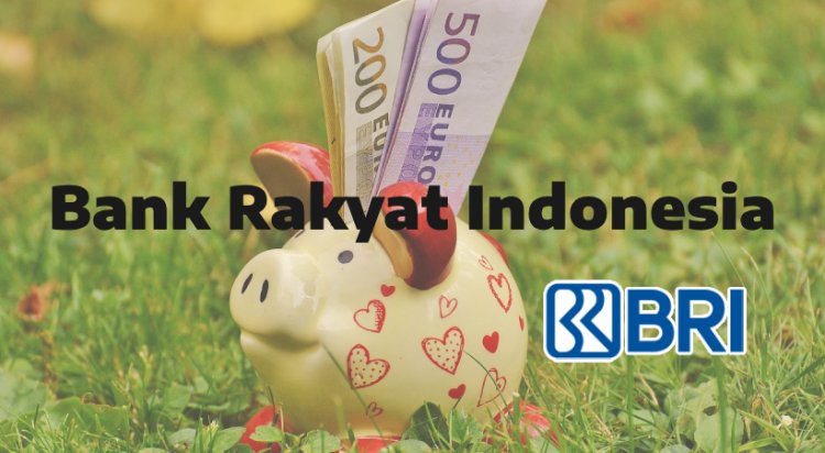 Bayar VA BRI
